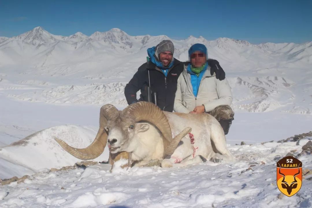 国际狩猎 中国人狩猎 马可波罗盘羊打猎