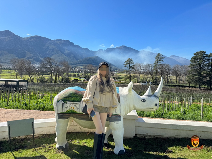 非洲定制旅游团