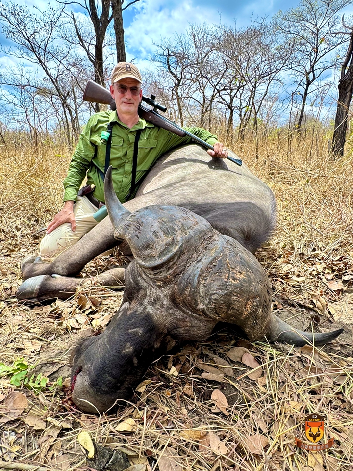 坦桑尼亚狩猎 非洲野牛狩猎