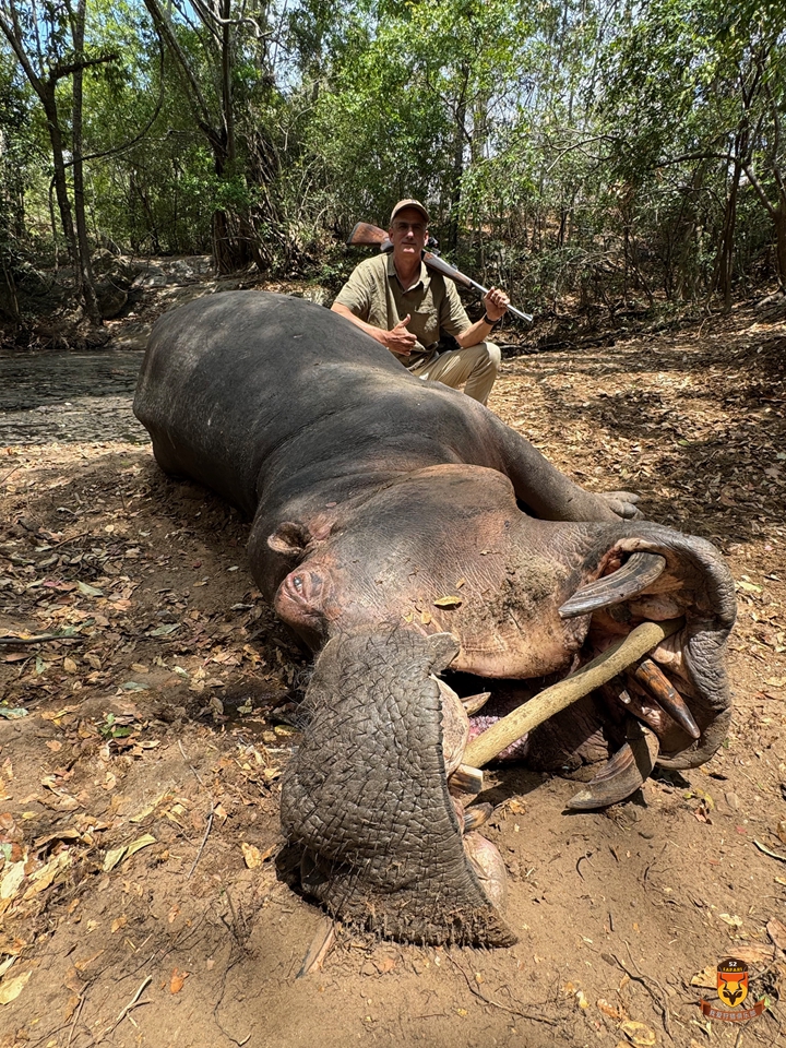 坦桑尼亚狩猎