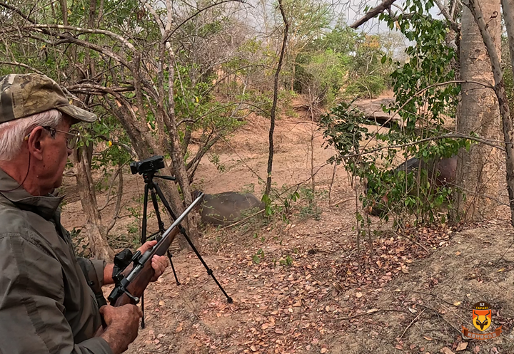 河马狩猎