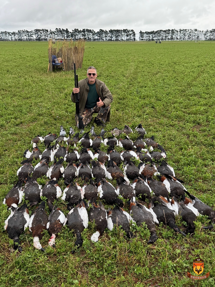 新西兰野鸭狩猎