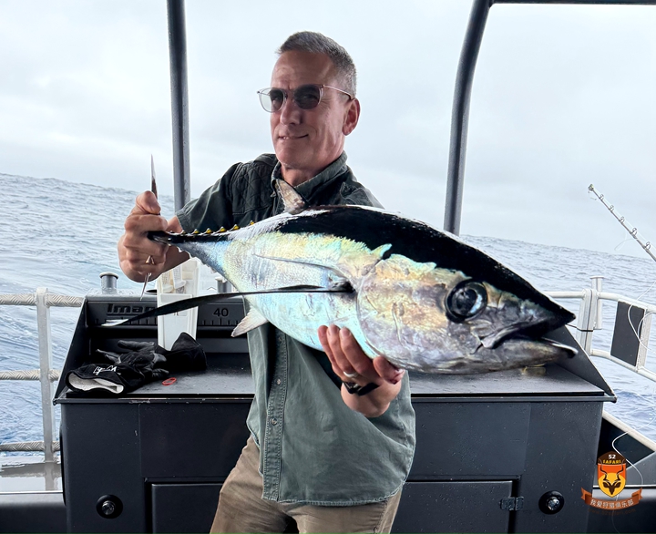 新西兰金枪鱼海钓