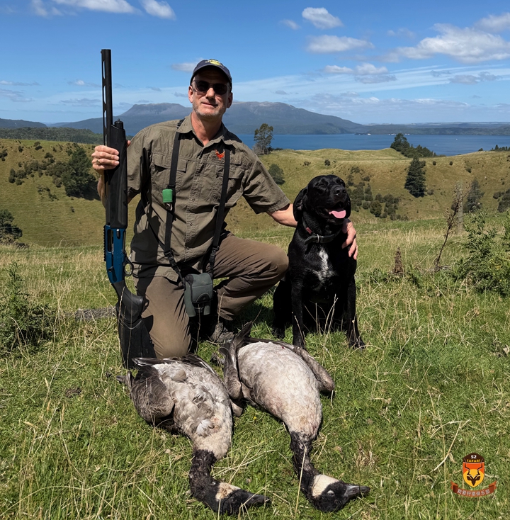 新西兰飞禽狩猎